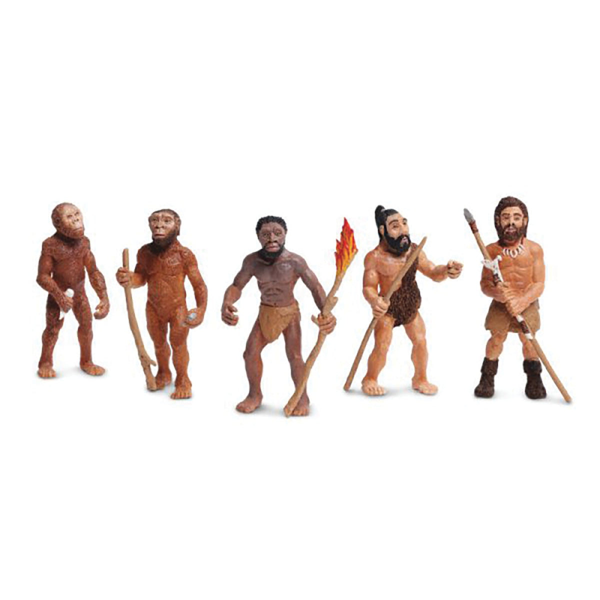 Evolution Of Man