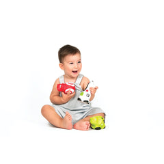 First Senses Pettinos