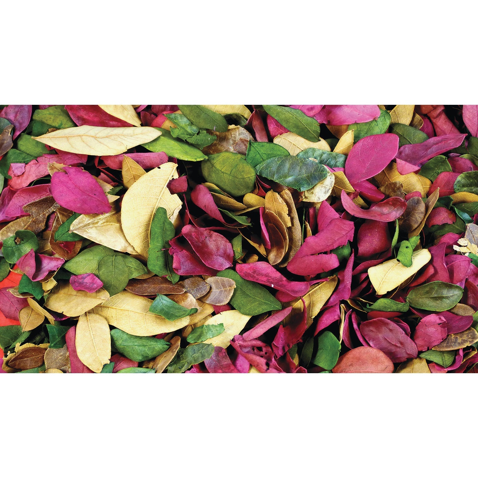 Coloured Leaves 50G