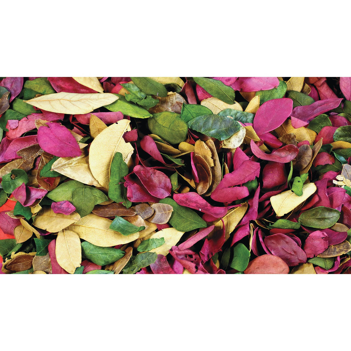 Coloured Leaves 50G