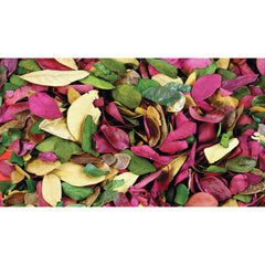 Coloured Leaves 50G