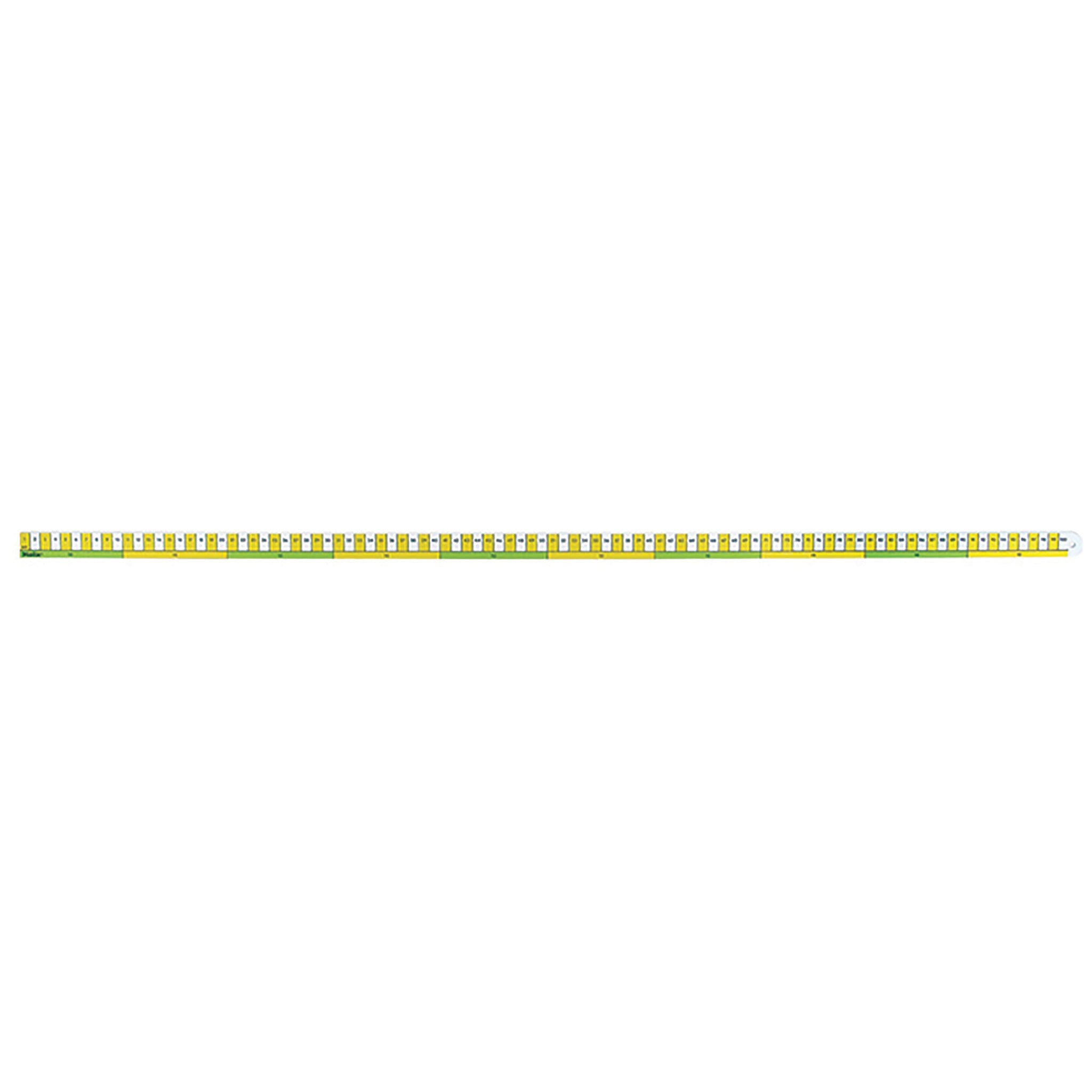 Early Learning 1M Ruler