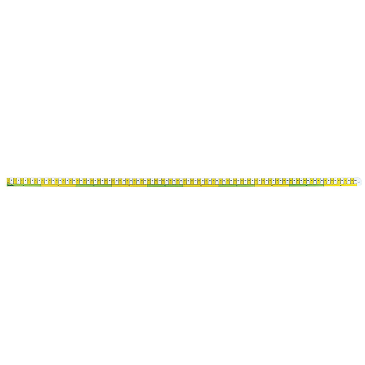 Early Learning 1M Ruler