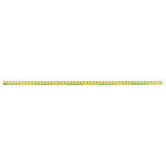 Early Learning 1M Ruler