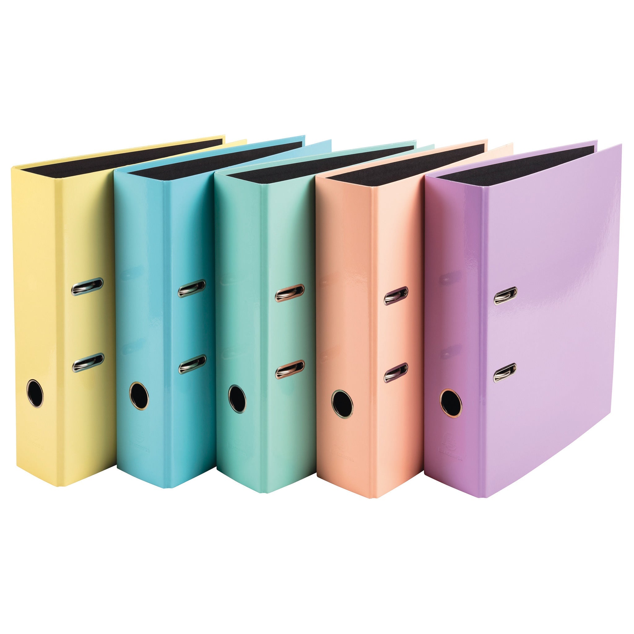 A4 Lever Arch Files Pastel Box10