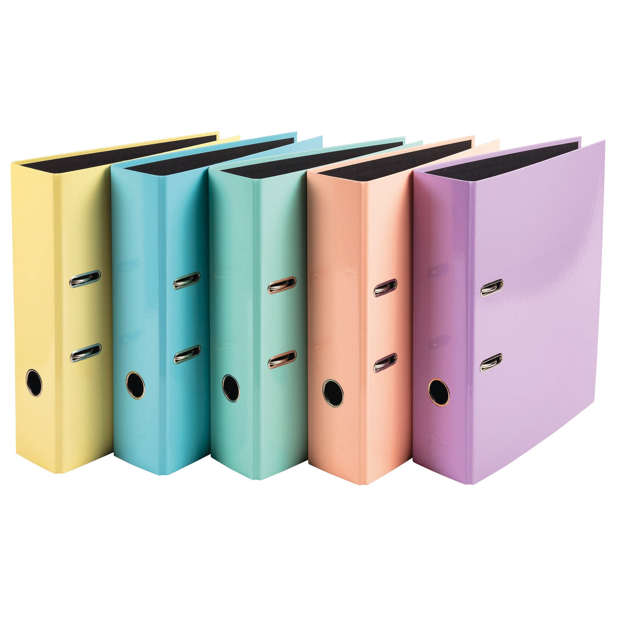 A4 Lever Arch Files Pastel Box10
