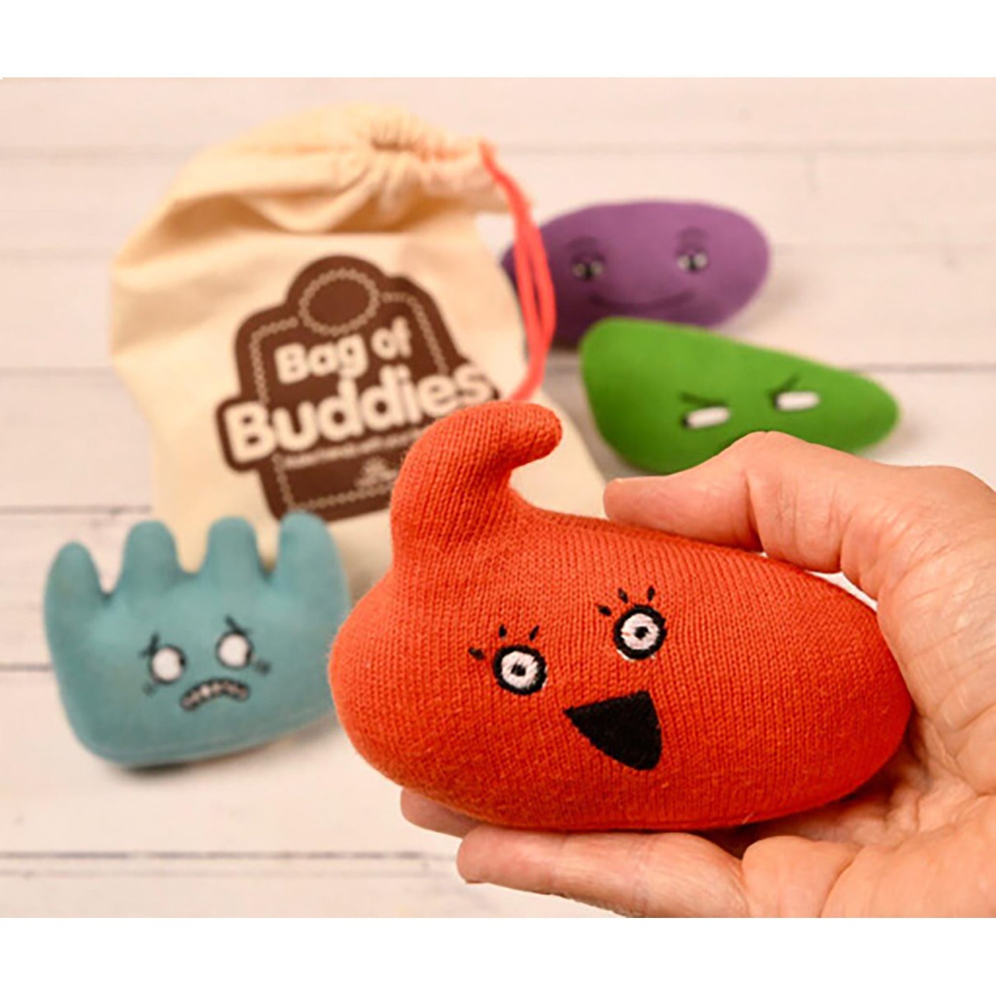 Bag Of Buddies 2 Pshe Toy