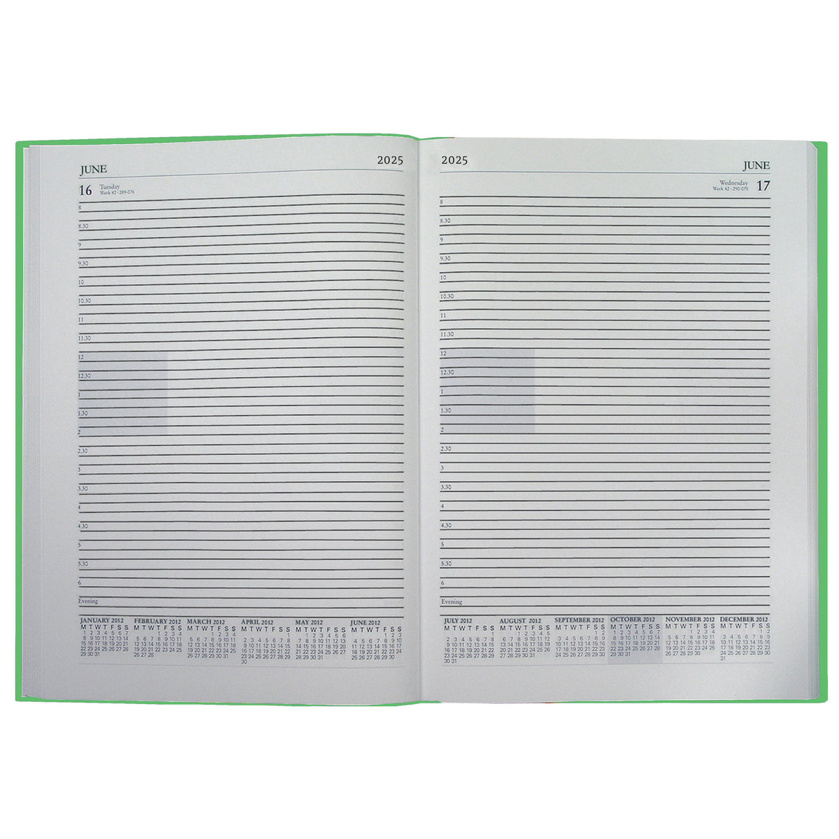 A4 Cal Desk Diary 2025 1Day View