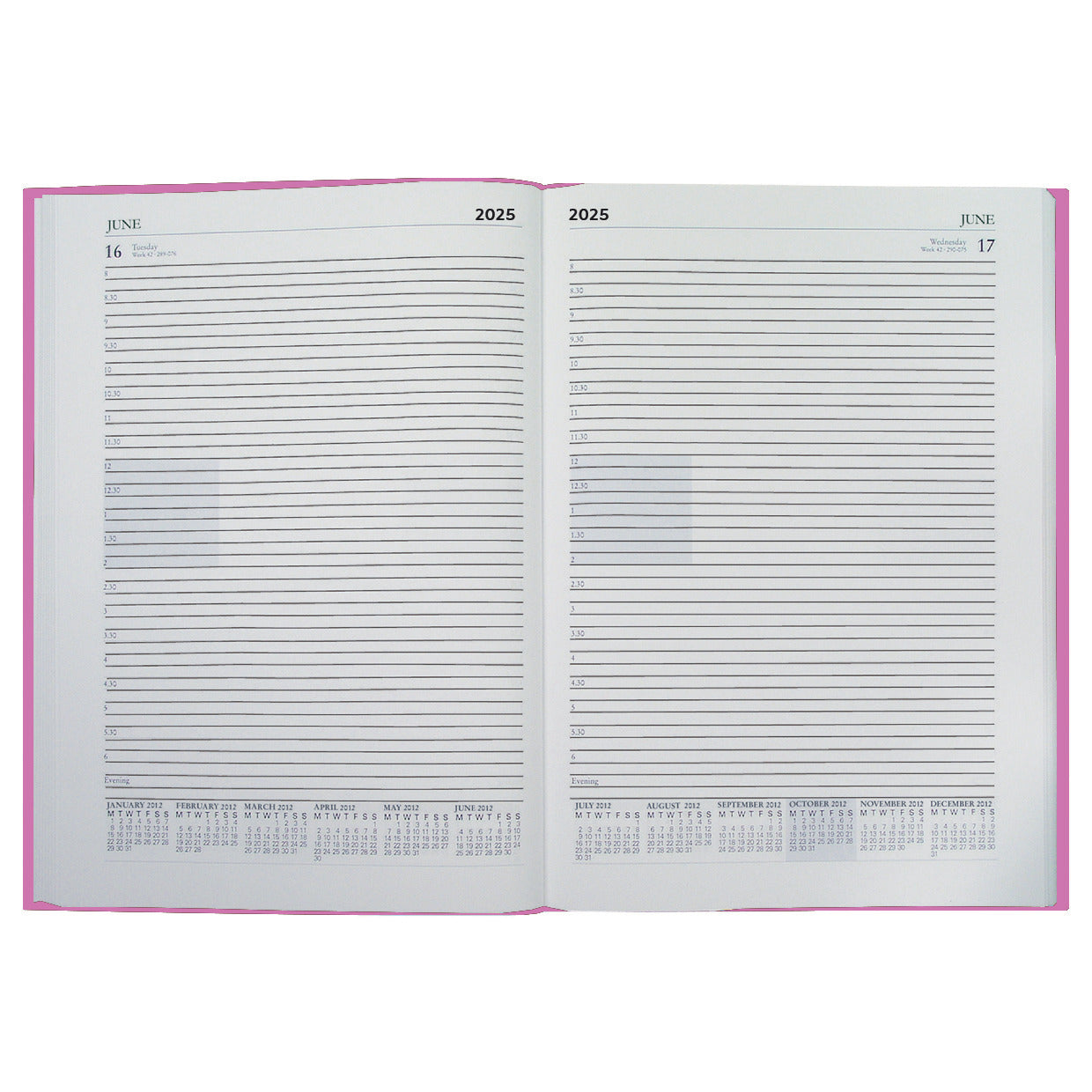 A5 Cal Diary 2025 1Day View