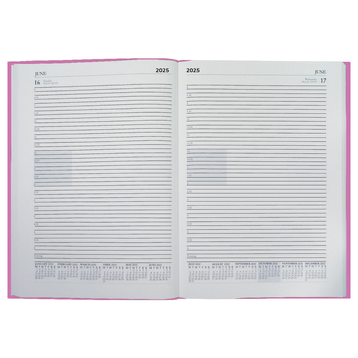 A5 Cal Diary 2025 1Day View