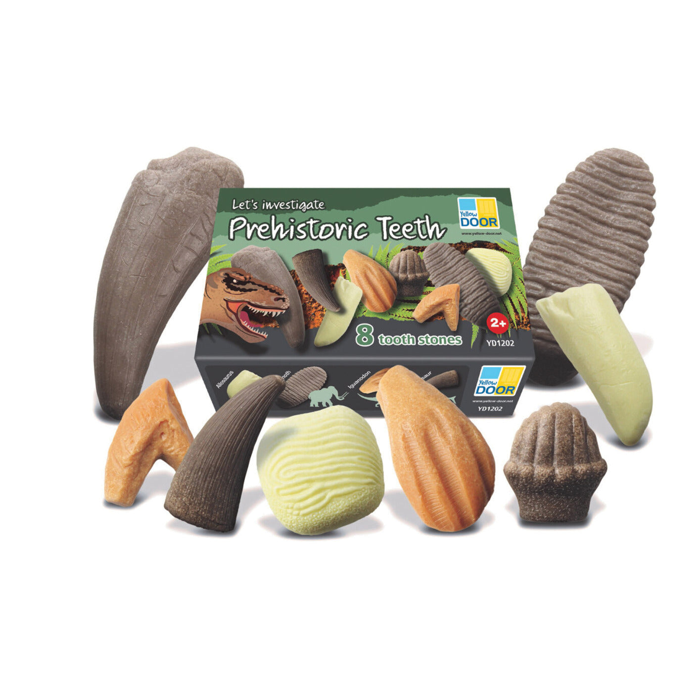 Lets Investigate Historic Teeth