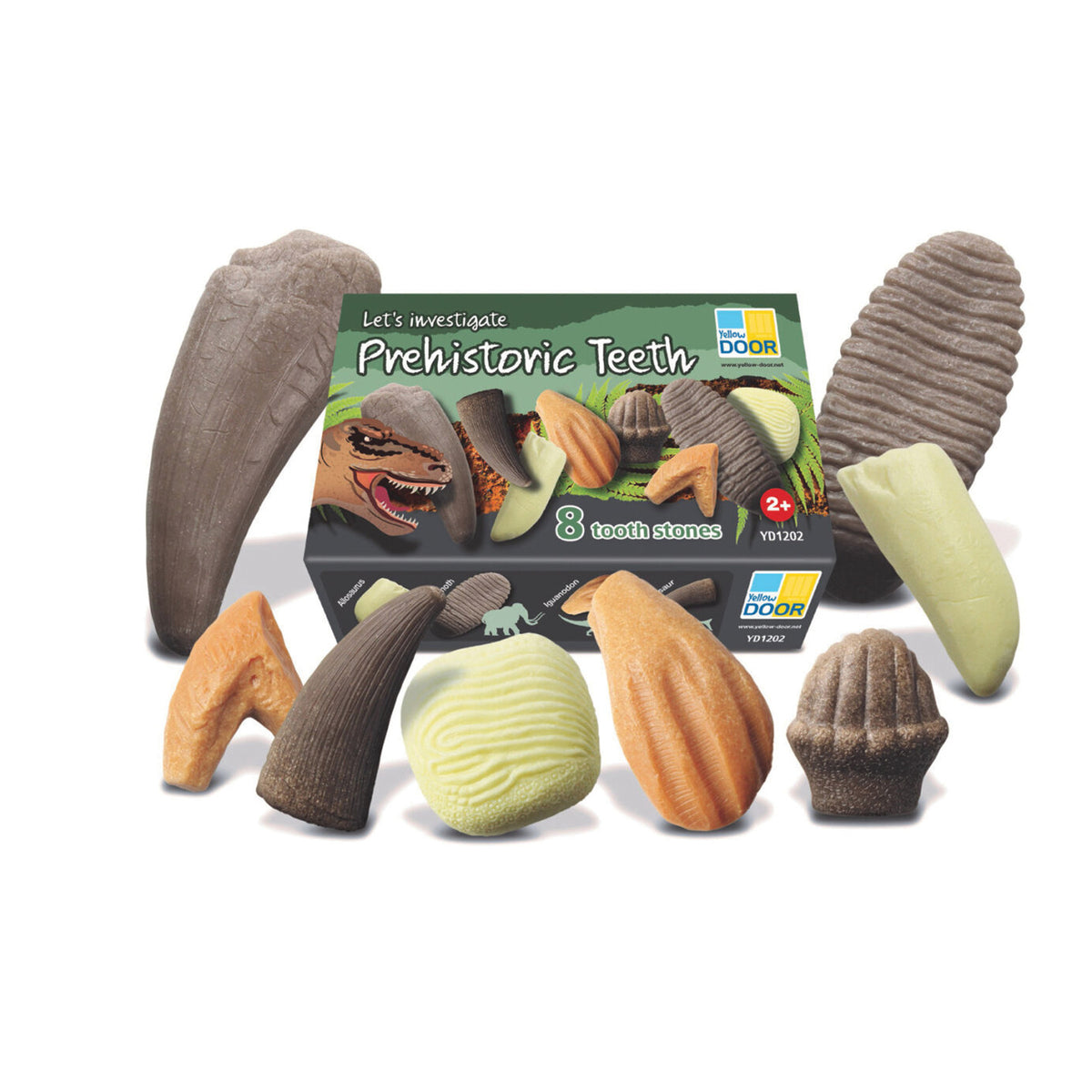 Lets Investigate Historic Teeth