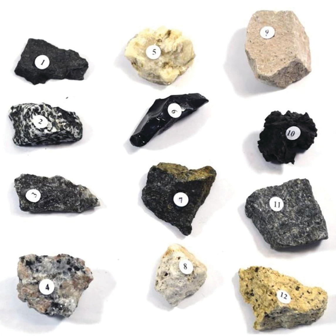 Igneous Rock Kit Set of 12