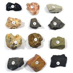 Sedimentary Rock Kit Set of 12