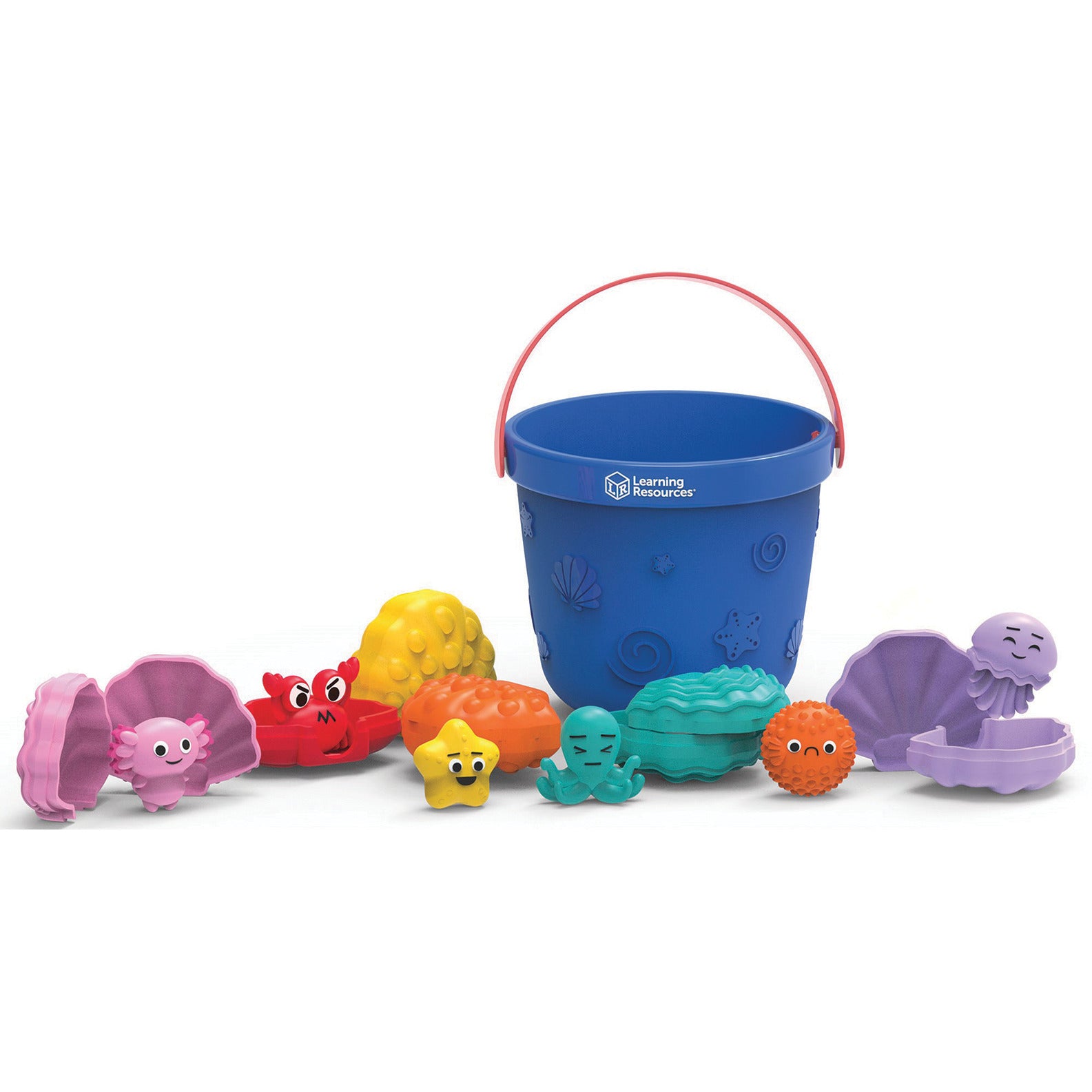 Ocean Emotions Seashell Set Includes 6 Seashells And Bucket