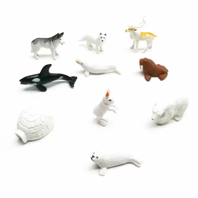 Animal from Arctic objects