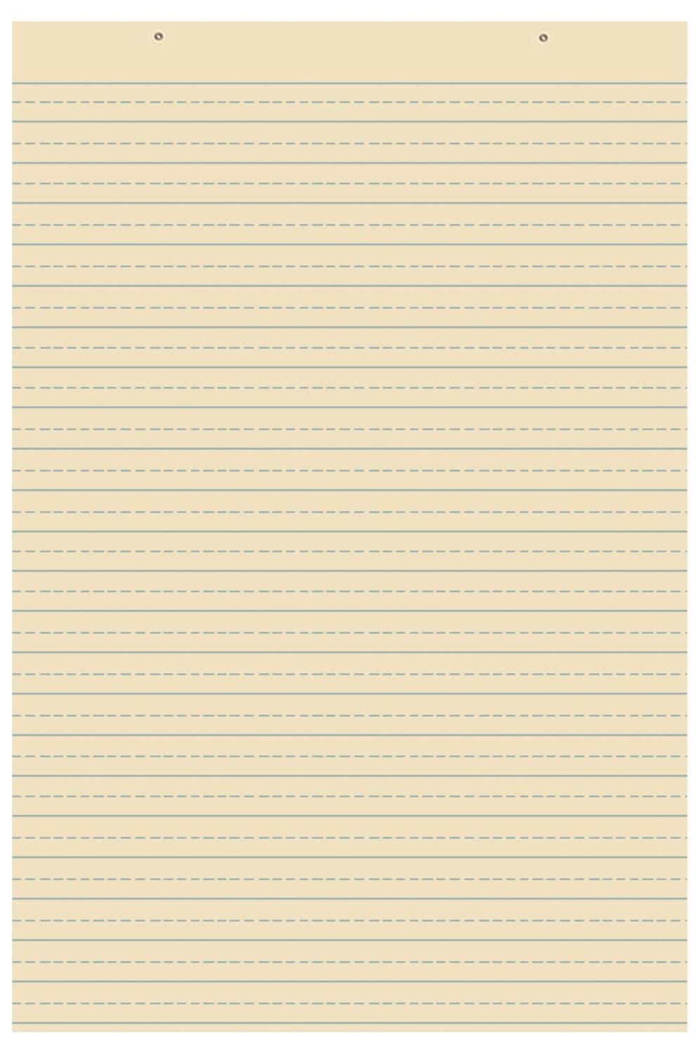 TAGBOARD RULED 24X36 100 SHEETS