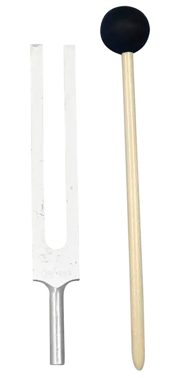 TUNING FORK AND STRIKER
