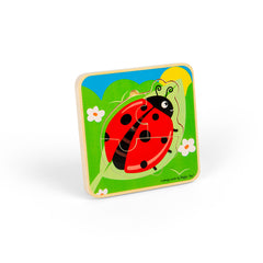 Lifecycle Layer Puzzle - Ladybug