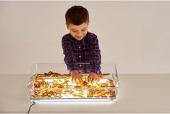 A3 LIGHT PANEL & EXPLORATION TRAY