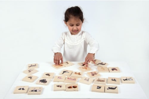 DOMESTIC ANIMAL FAMILY MATCH