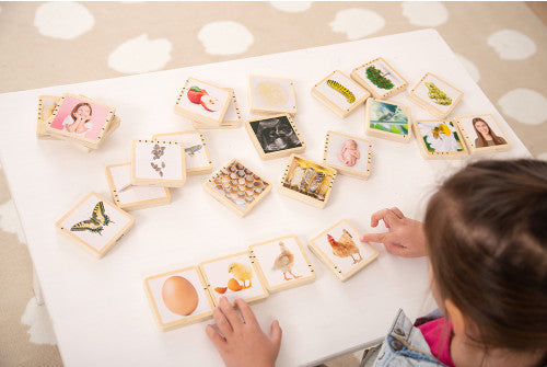 WOODEN LIFECYCLE TILES
