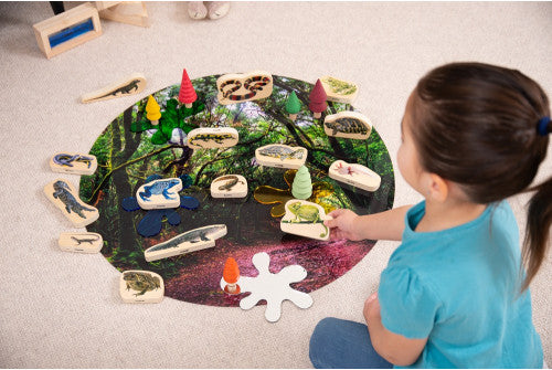 WOODEN REPTILE & AMPHIBIAN BLOCKS