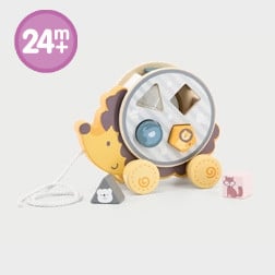 HEDGEHOG SORTING WHEEL