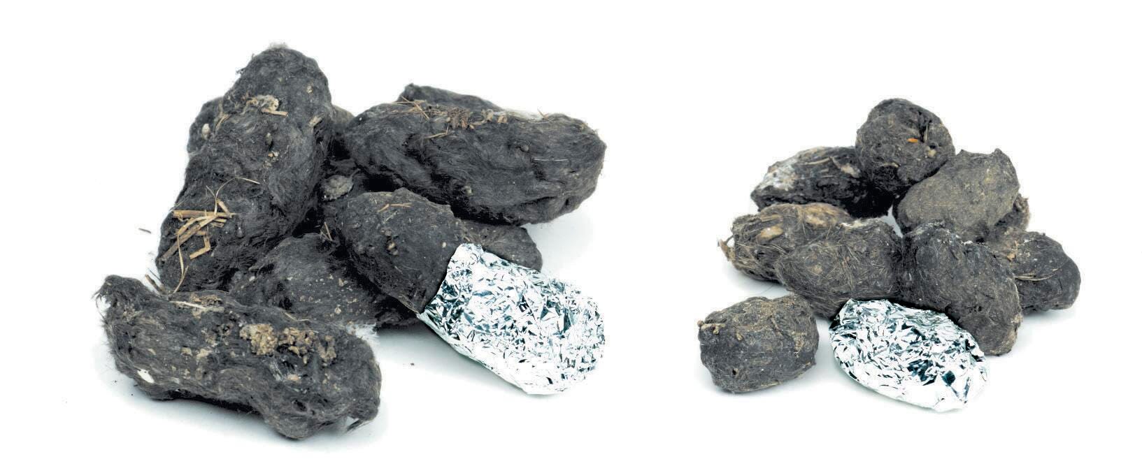 OWL PELLETS REPLACEMENTS PACK OF 15