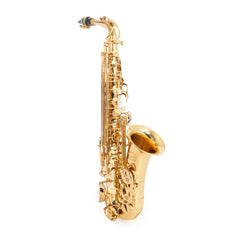 Artemis student Eb alto saxophone outfit