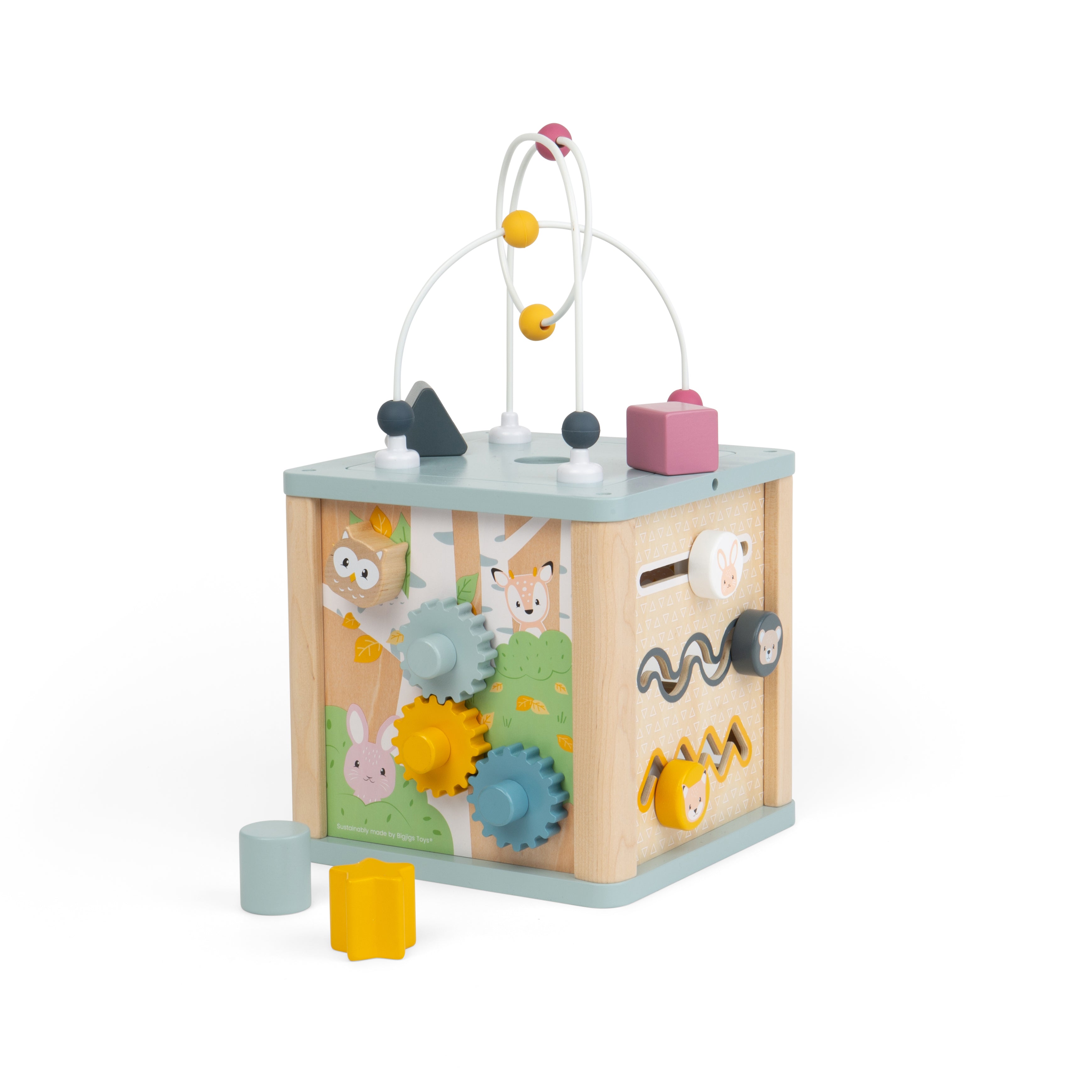 Activity Cube (12 Months +)