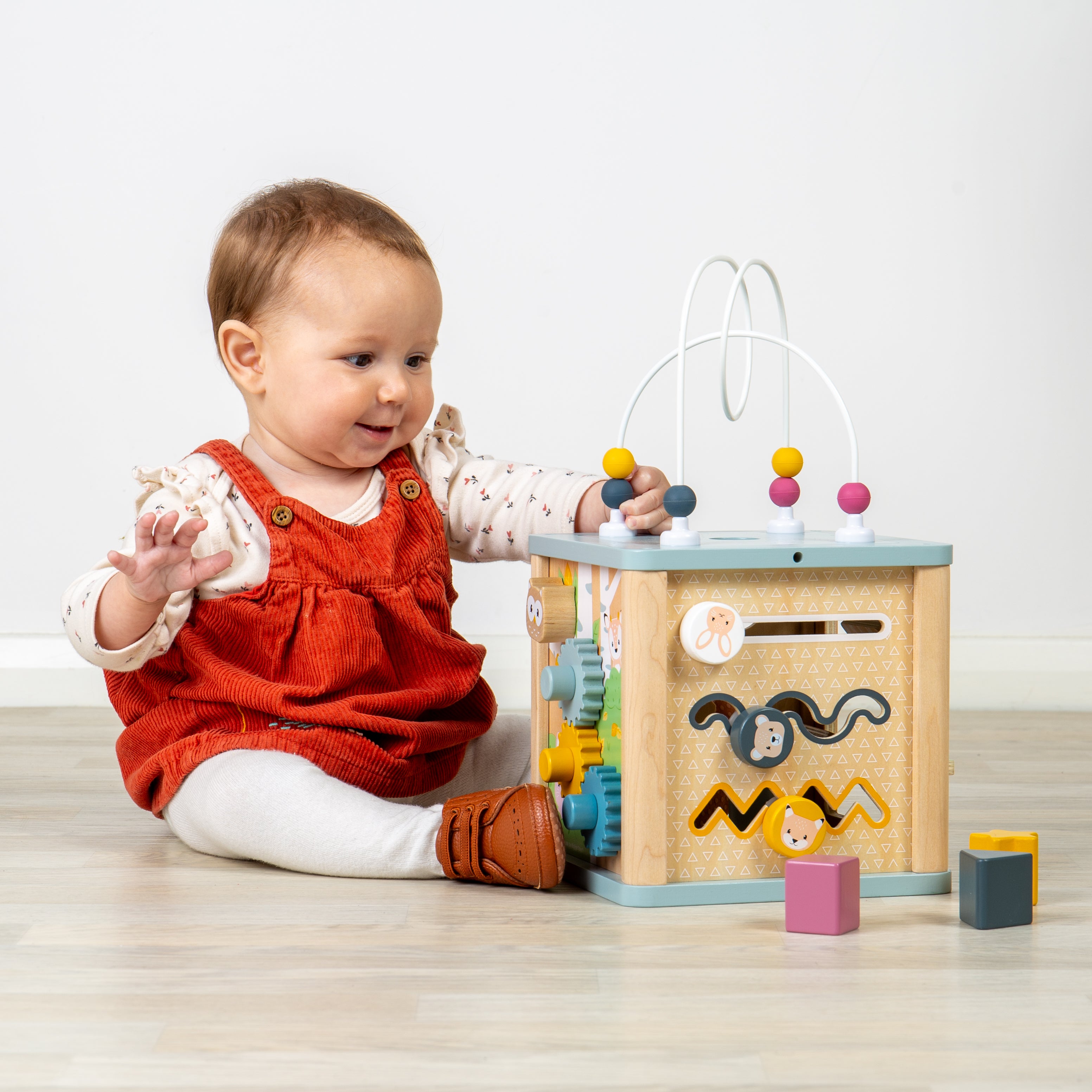 Activity Cube (12 Months +)