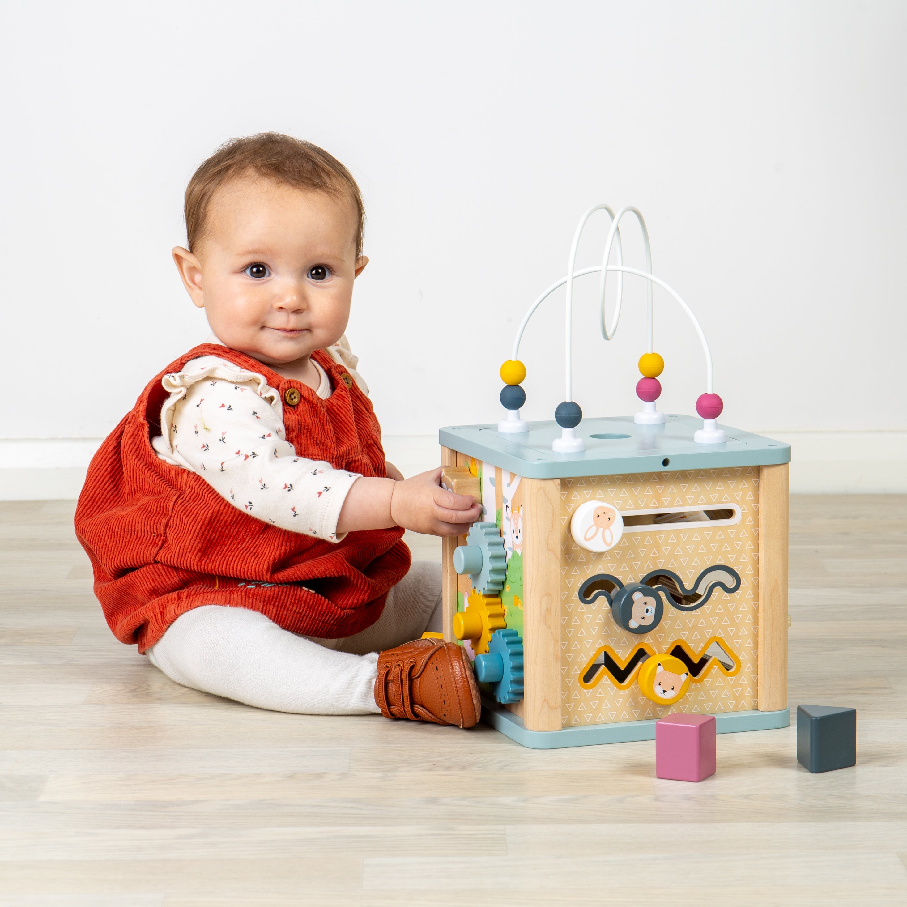 Activity Cube (12 Months +)