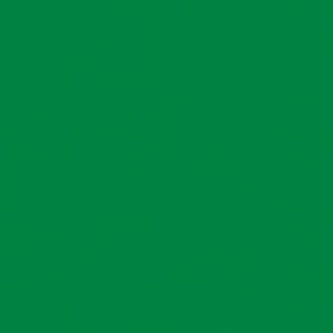 PAINT ACRYLIC HB LIQUITEX CHROMIUM OXIDE GREEN 2 OZ
