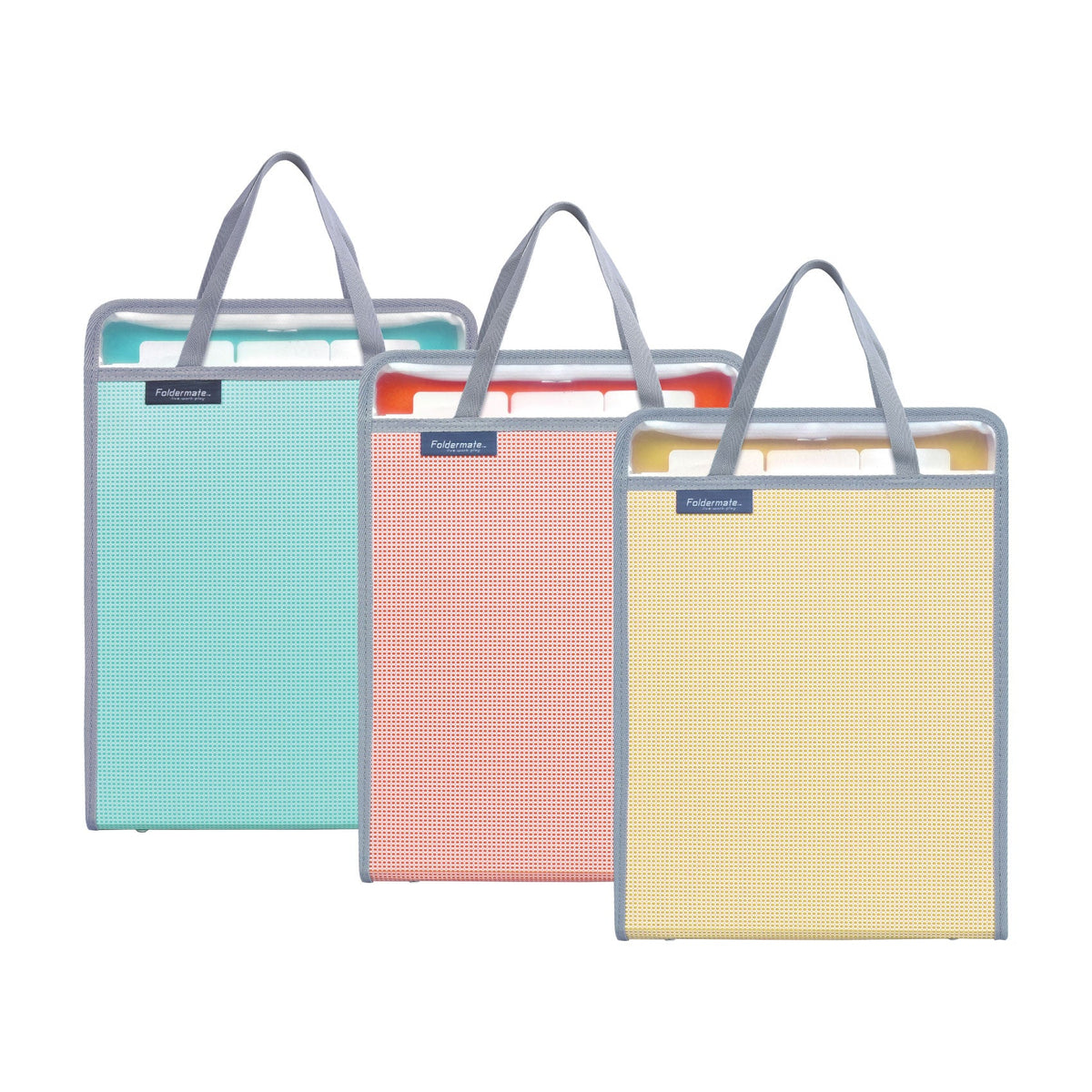 Foldermate, Tp LodExpndnBagW/handl 6pkt A4 PAC=12 CC