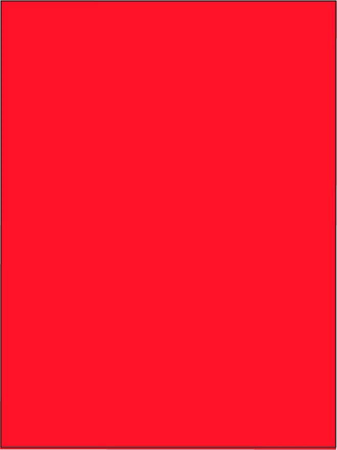 Funbo Chart 70x100 220g R/S Packet of 10 red FO-CPRS070X100-RD