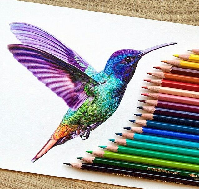 FABER CASTELL CON COLOUR PENCILS 36 COLOUR