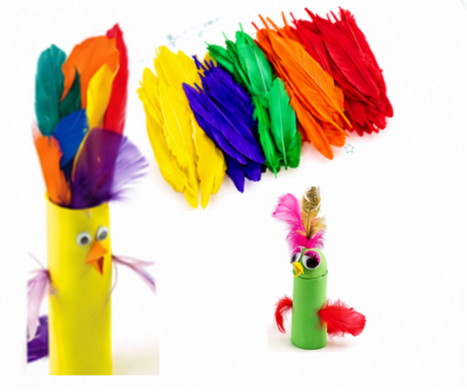 FEATHER PACK SOLID COLUR PKT- 500 - 5 COLOR -EDUPLAN