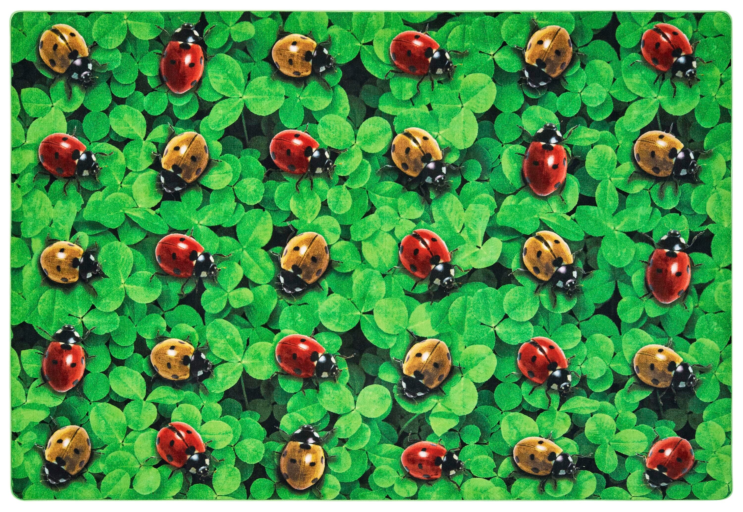 CARPETS FOR KIDS - PIXEL PERFECT REAL LADYBUG SEATING - RECTANGLE - 6 FT X 9 FT - SPECIFY CARPET COLOR