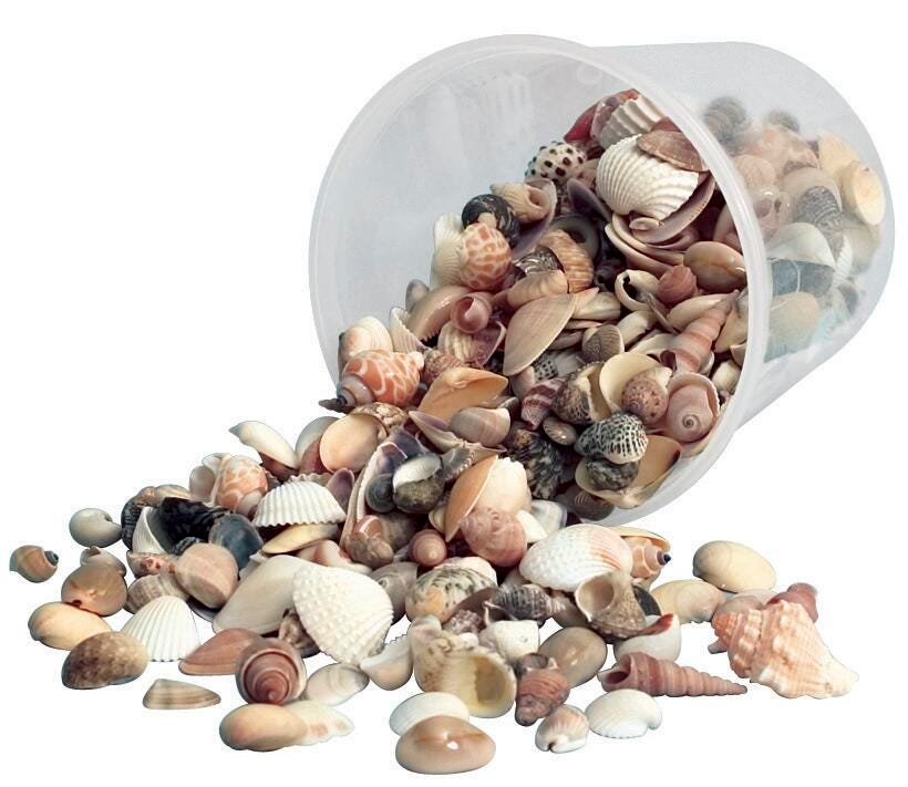SHELLS CRAFT ASSORTED SIZES NATURAL COLOR 1 LB