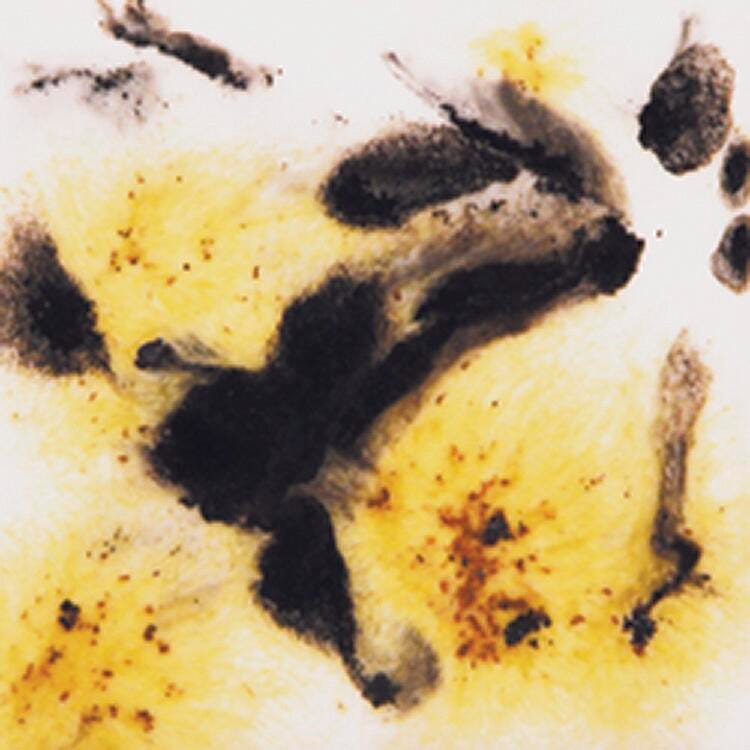 GLAZE MAYCO CRYSTALITES S2726 CHEETAH PINT