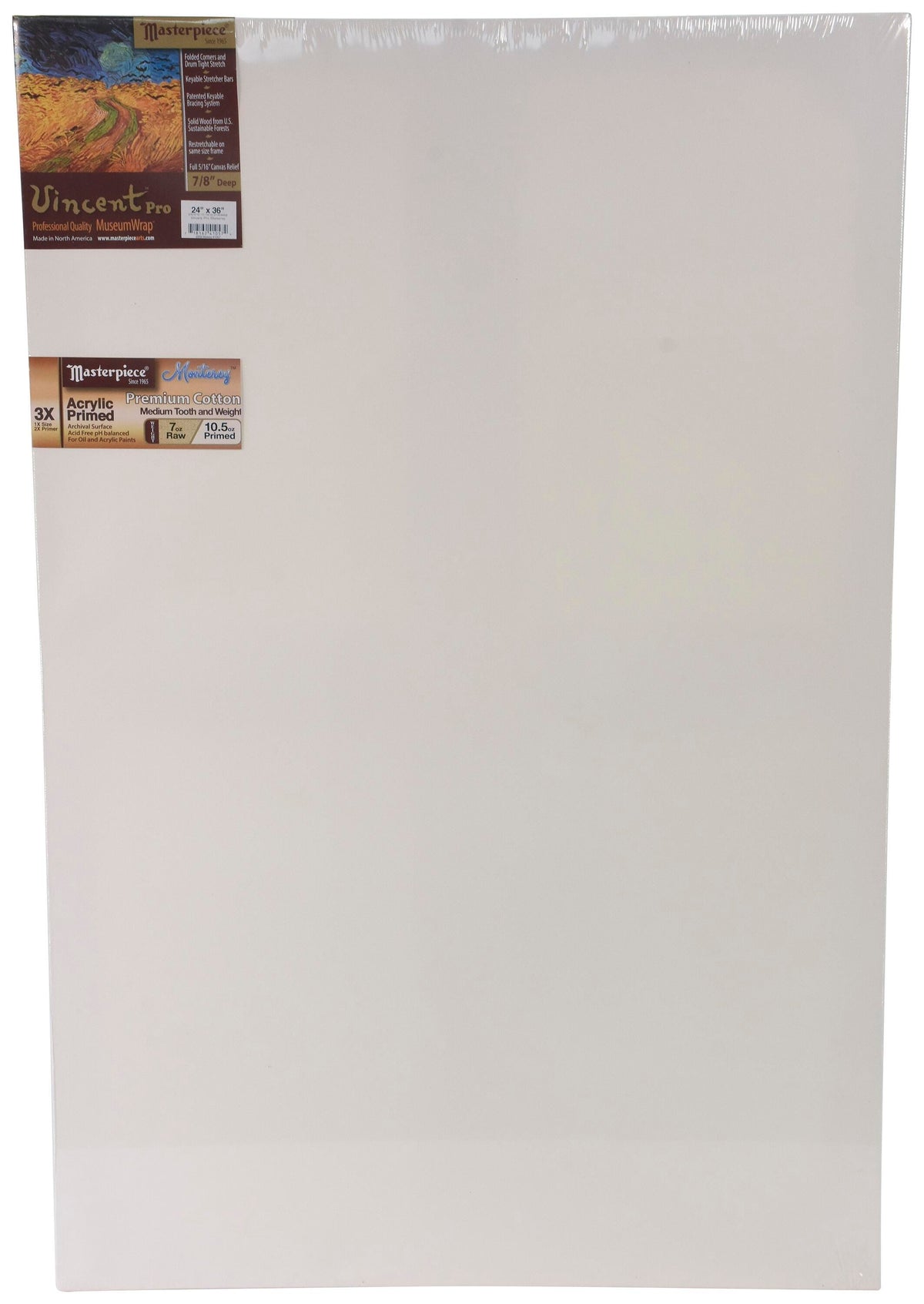 CANVAS MASTERWRAP STRETCHED 24X36