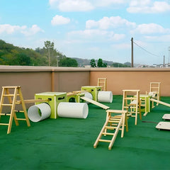 41-piece sports set- (avocado green box)