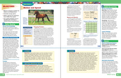 TG DSR DSM-3 NEWTON FT S TOY BOX EA