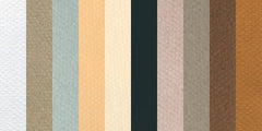 PAPER DRAWING MI-TEINTES 98LB 19X25 MUTED PK 10