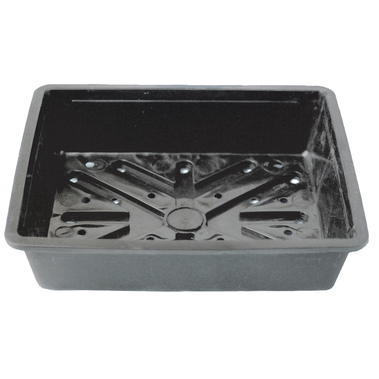 Tray Seed Per/Ated Pla 215X150X50Mm