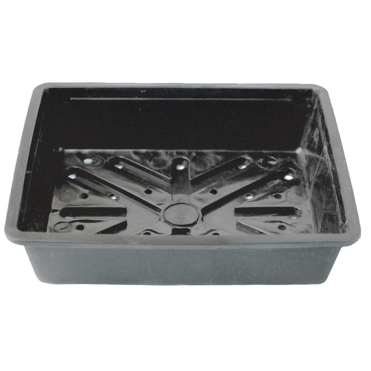 Tray Seed Per/Ated Pla 215X150X50Mm