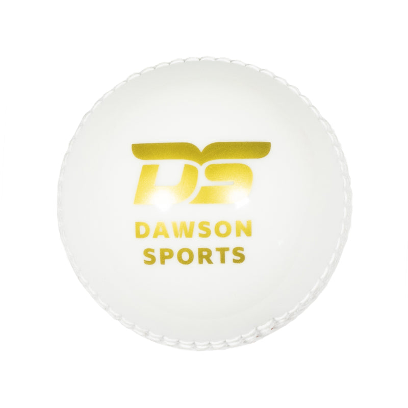 DS Incrediball PVC Cricket Ball (color may vary) Multicolor