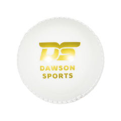 DS Incrediball PVC Cricket Ball (color may vary) Multicolor