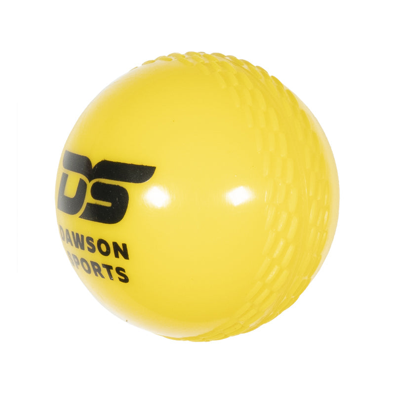 DS Cricket Windball (color may vary)